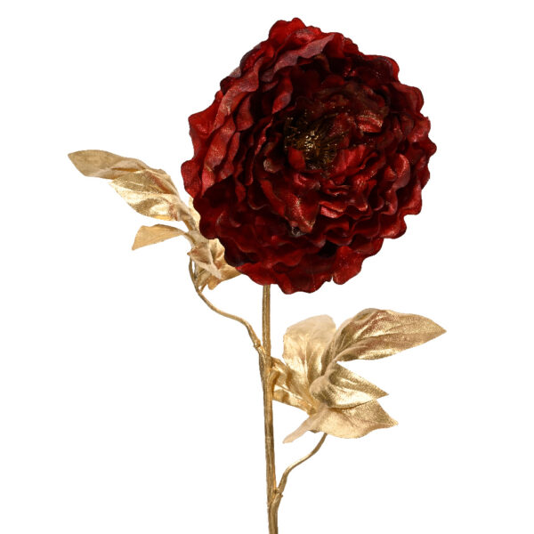 وردة لون أحمر