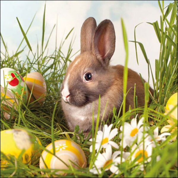 Napkin Brown Rabbit