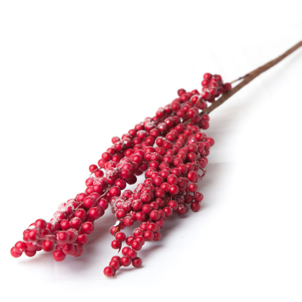 Long Stem Berries