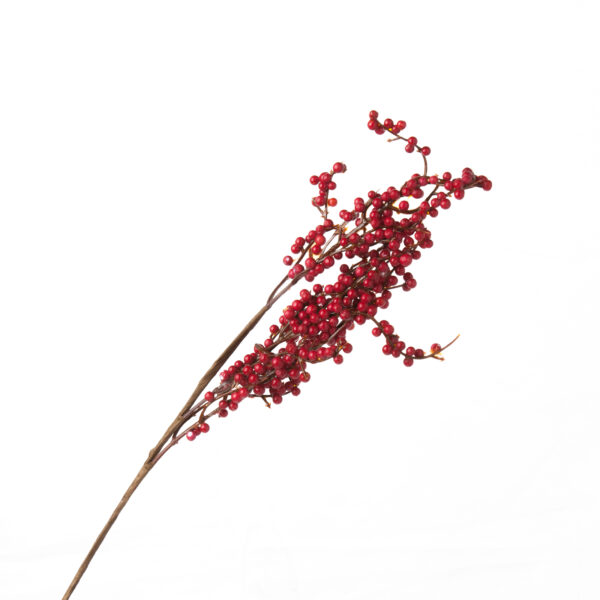 פירות יער גזע קצר