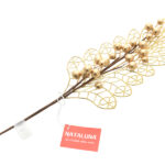 فرع  لون ذهبي