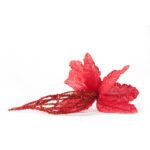 ورده اورجانزا أحمر