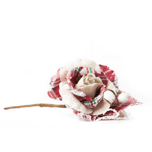 פרח יוטה סקוטי