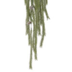 עלים ירוקים