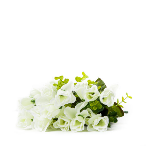White Flower