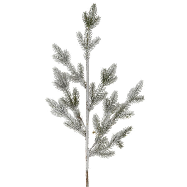 Snowed Branch