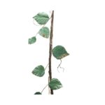 Velvet Liana With Leaves