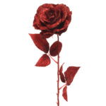 زهرة عيد الميلاد لون أحمر