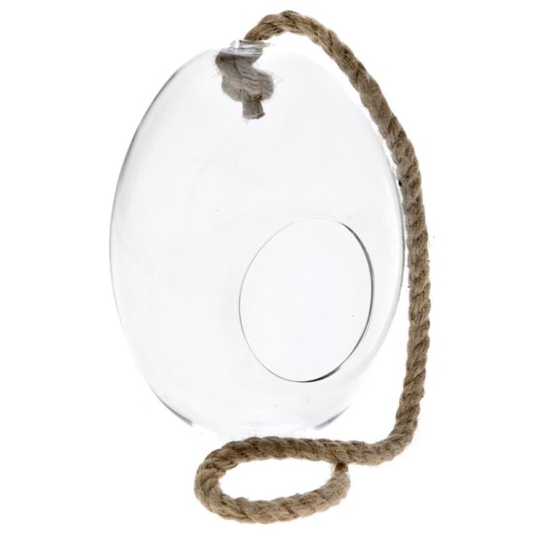 Hanging Glass Vase