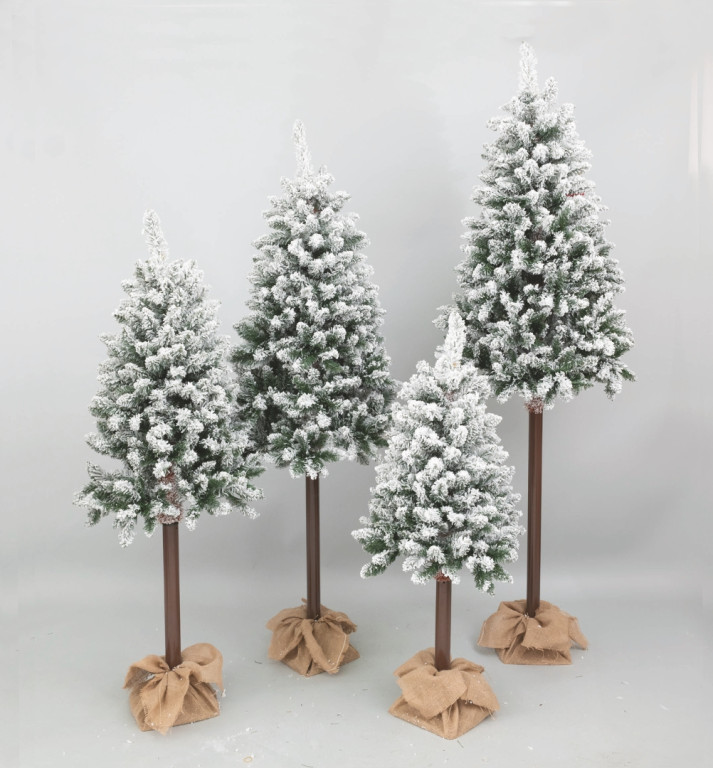 65804d592c7b0 65804d592c7b0