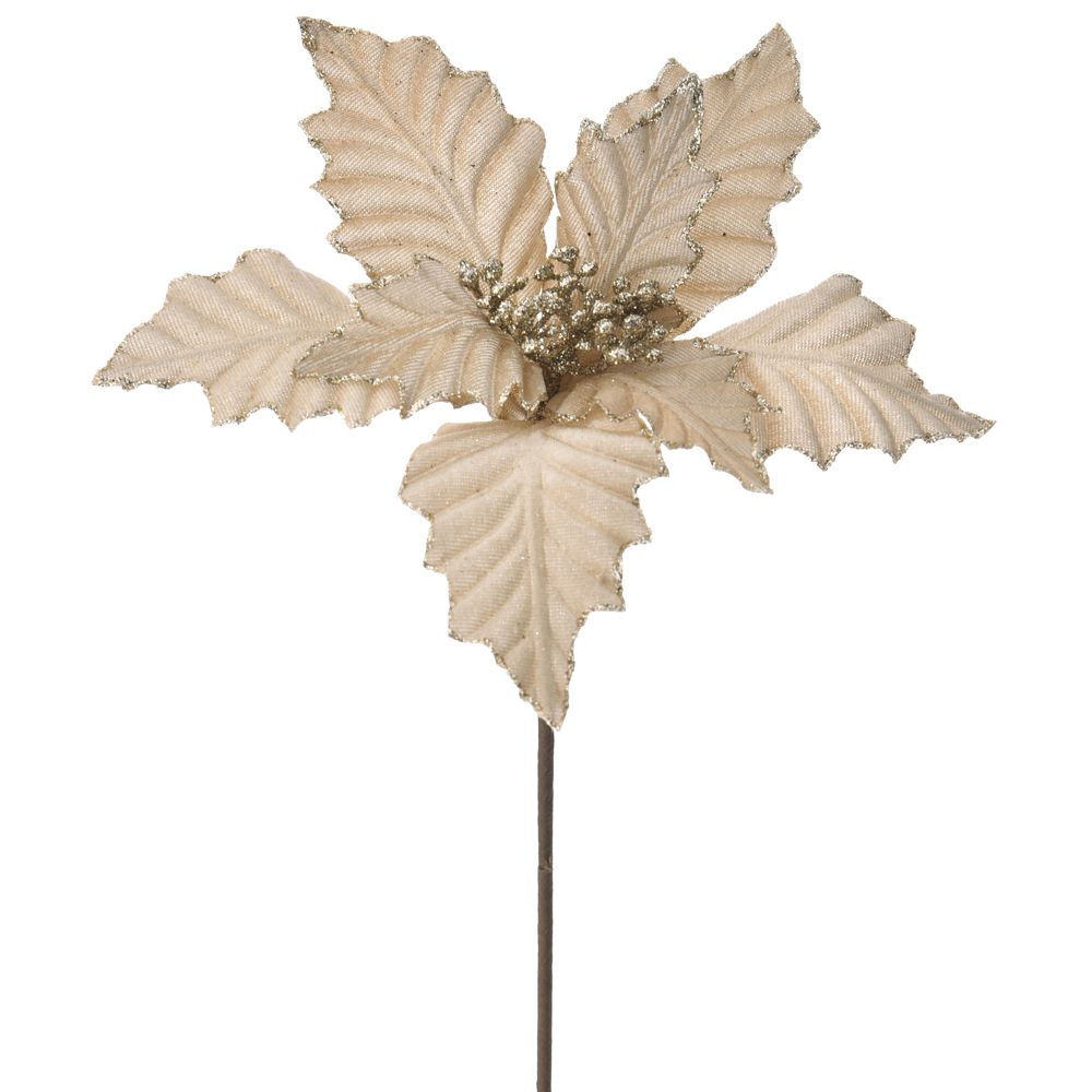 66793 פרח של חג המולד – תמונה 1