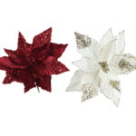 פוינסטיה מבד קטיפה