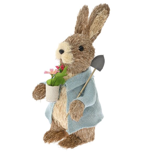 أرنب أزرق مخملي