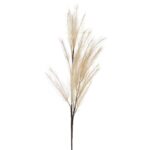 Coffee Branch Pampas