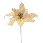 زهرة البونسيتة لون ذهبي