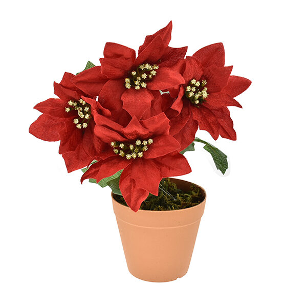 7ceed32109e043c8b762ab85290c8544 1