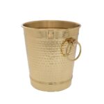 שמפניר צבע זהב