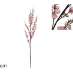 فرع زهرة الخوخ