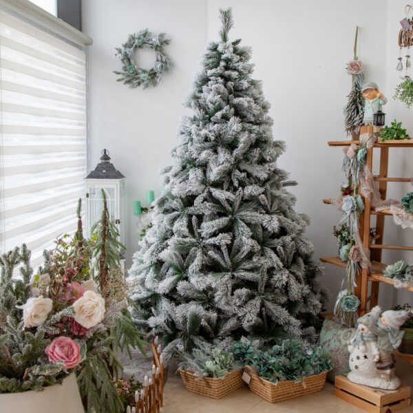 Christmas Tree (Elba)