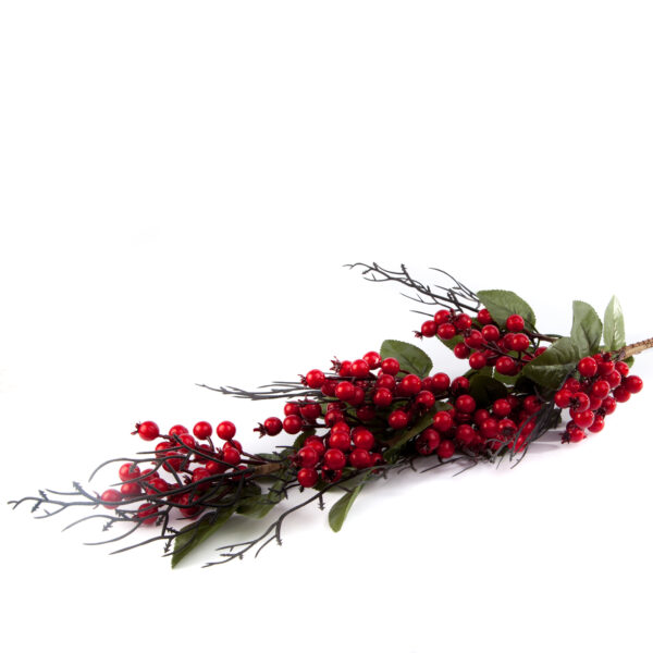 Long Stem Berries with leaves