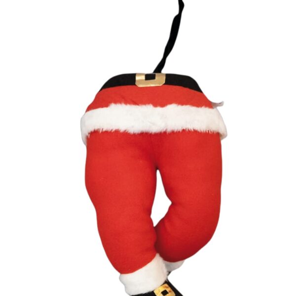 Santa Legs