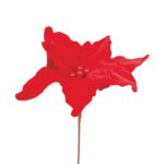 WhatsApp Image 2025 06 27 at 11.44.39