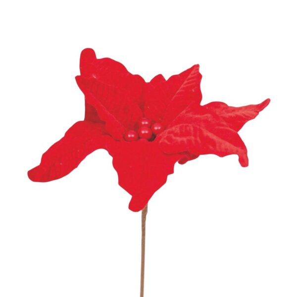 WhatsApp Image 2025 06 27 at 11.44.39