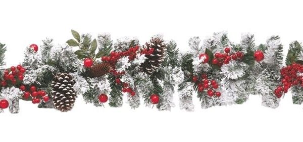 WhatsApp Image 2025 06 27 at 11.51.15 (1)