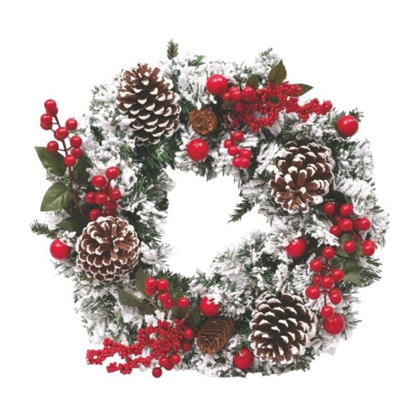 WhatsApp Image 2025 06 27 at 11.51.15