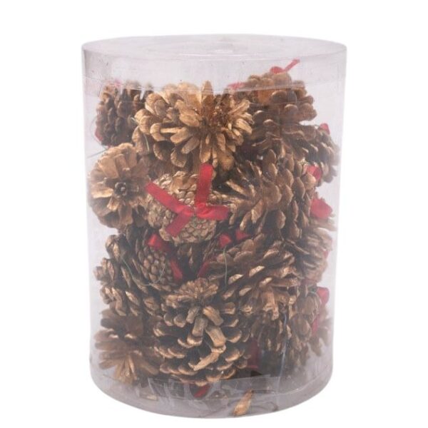 WhatsApp Image 2025 06 27 at 12.35.53