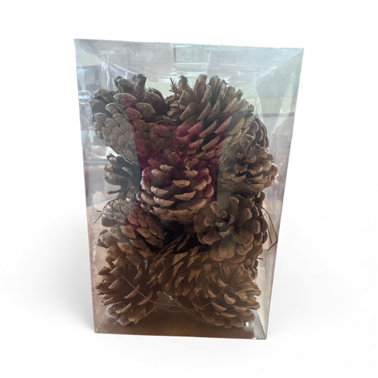 WhatsApp Image 2025-11-07 at 14.04.27 צנוברים – תמונה 1