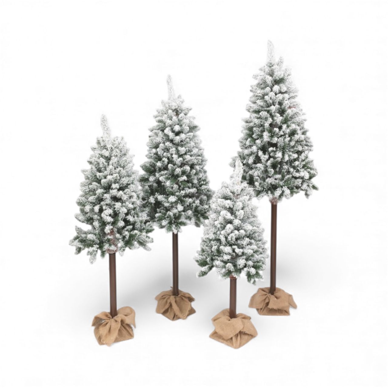 WhatsApp Image 2025 11 12 at 13.17.52 WhatsApp Image 2025 11 12 at 13.17.52