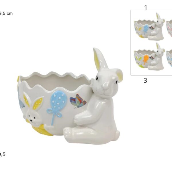 WhatsApp Image 2026 02 23 at 13.50.42