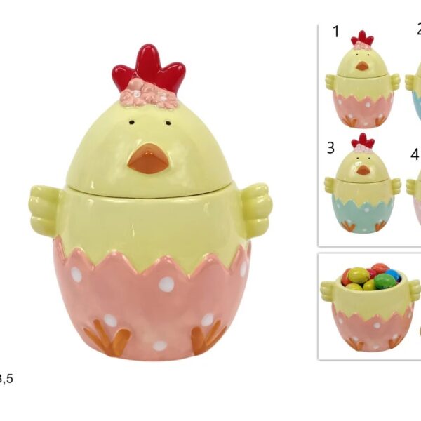 WhatsApp Image 2026 02 23 at 14.04.23