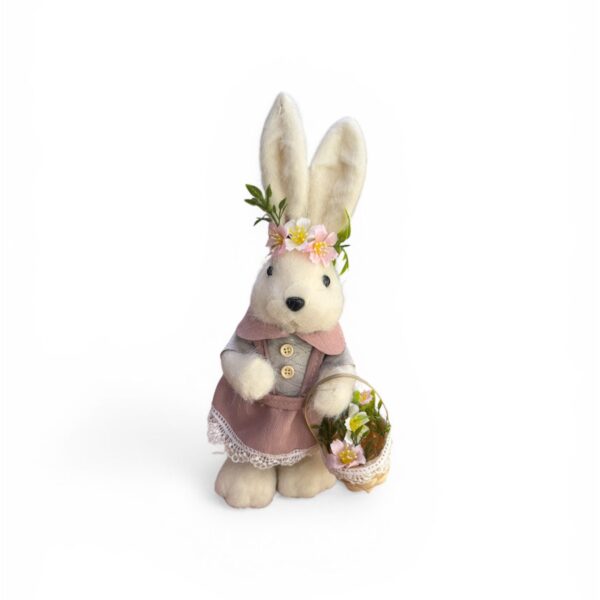 WhatsApp Image 2026 03 23 at 11.33.19 (2)