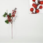 XNA16011291 8033113664144