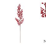 XNA19018371 8033113996719