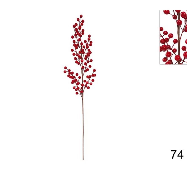 XNA19018371 8033113996719