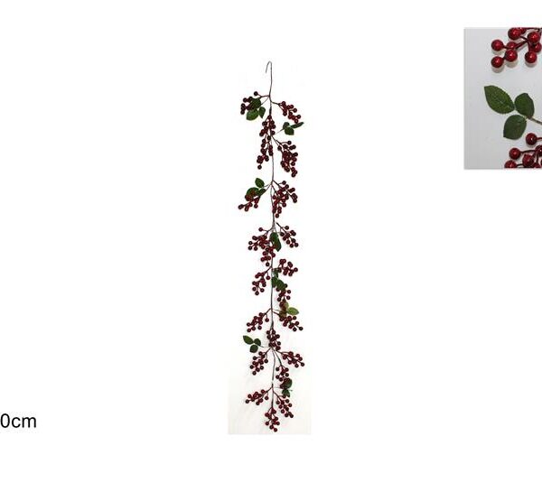 XNA19024561 8033113996726