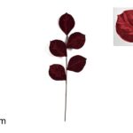 XNA21002791 8053482105185