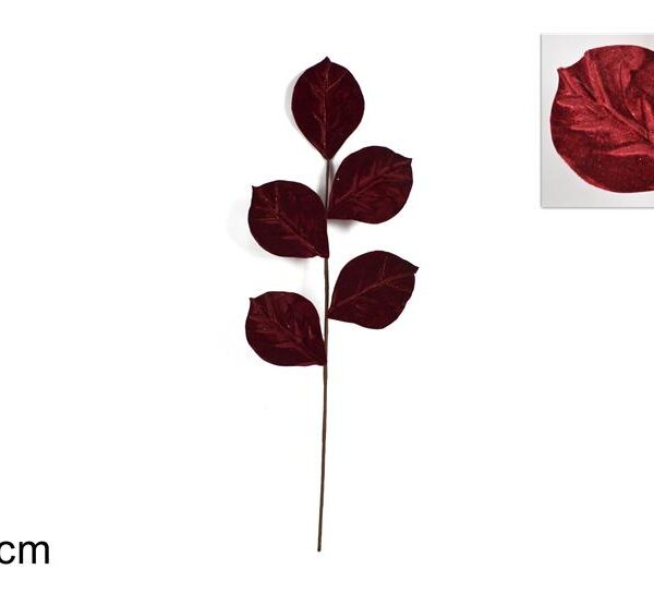 XNA21002791 8053482105185