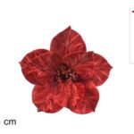 XNA21002831 8053482105260