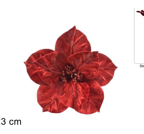 XNA21002831 8053482105260