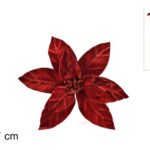 زهرة مخمل باللون الأحمر