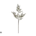 XNA24031381 8053482352930