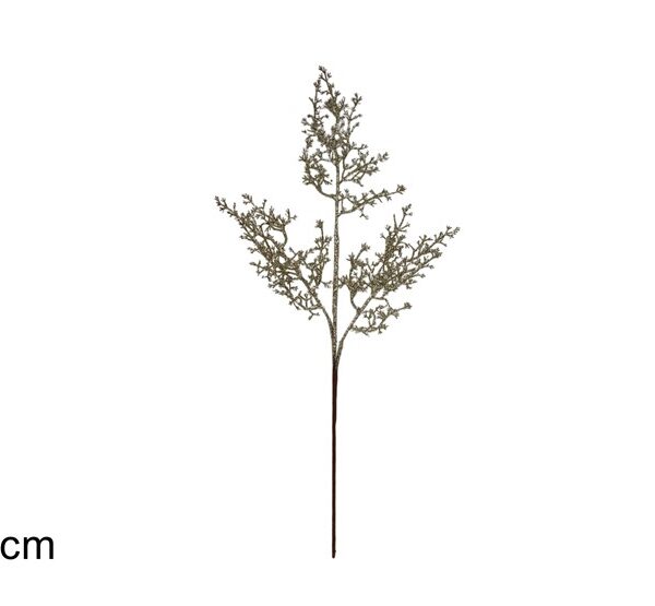 XNA24031381 8053482352930