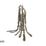 XNA24032371 8053482353920