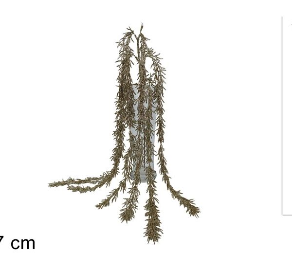 XNA24032371 8053482353920