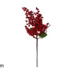 XNA24034201 8053482355818