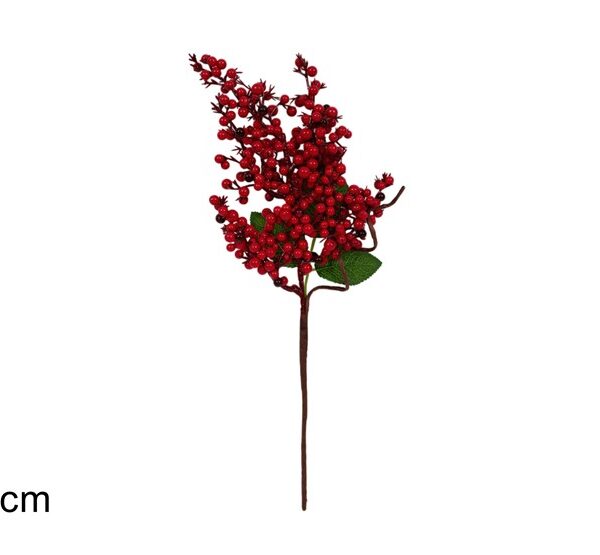 XNA24034201 8053482355818